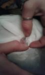 post-32475-1448133752_thumb.jpg