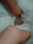 post-32475-1448201595_thumb.jpg