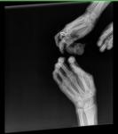 post-32550-1486968809_thumb.jpg