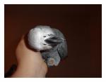 post-32563-1356098950_thumb.jpg