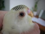 post-32826-1312013631_thumb.jpg