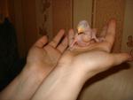 post-33028-1305228819_thumb.jpg