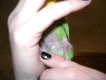 post-33286-1297968751_thumb.jpg