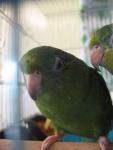 IMG_2770.jpg