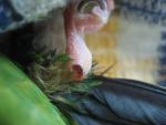 IMG_3066.jpg
