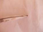 post-33972-1331544608_thumb.jpg