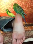 post-3432-1131899631_thumb.jpg