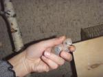 post-34353-1329145260_thumb.jpg