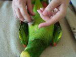 post-34575-1311346689_thumb.jpg