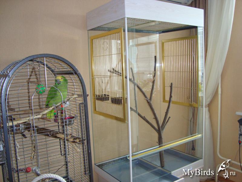 Какой вольер делать? - вольеры - форумы mybirds.ru - все о п.