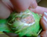 post-34667-1302104620_thumb.jpg