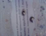 post-34667-1302104643_thumb.jpg