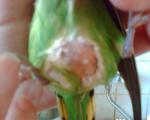 post-34667-1302104660_thumb.jpg