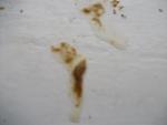 post-34986-1385724498_thumb.jpg