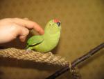 post-35149-1326651286_thumb.jpg