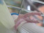 post-35177-1304951829_thumb.jpg