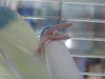post-35177-1304951966_thumb.jpg