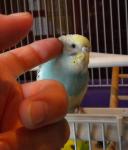 post-35201-1314027435_thumb.jpg