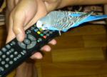post-35201-1314103324_thumb.jpg