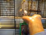 post-35201-1314422202_thumb.jpg