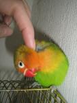 post-35251-1306337638_thumb.jpg