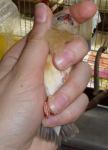 post-3546-1183323912_thumb.jpg