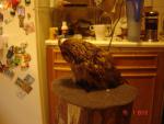 DSC08338.JPG
