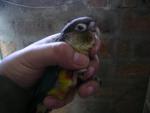 post-35654-1353054673_thumb.jpg