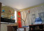 Picture_128_1.jpg