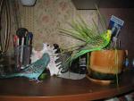 Picture_140.jpg