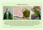 03_parrots_a5.jpg