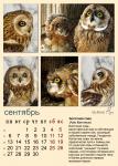 s09_a3_owl.jpg