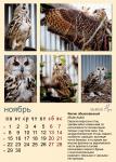 s11_a3_owl.jpg