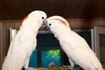 110907___________________________________Kil_s_11.jpg
