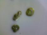 post-35712-1341211655_thumb.jpg