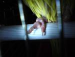 post-36004-1308147550_thumb.jpg