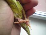 post-36004-1311854228_thumb.jpg