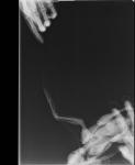 post-36225-1483641480_thumb.jpg