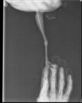 post-36225-1483641774_thumb.jpg