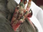 post-37218-1313921875_thumb.jpg