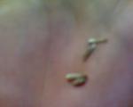 post-37645-1392068430_thumb.jpg