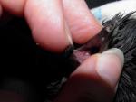 post-37886-1326963559_thumb.jpg