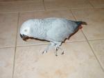 DSC06811.JPG