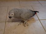 DSC06812.JPG