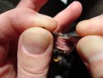 post-38161-1366127507_thumb.jpg