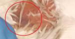 post-38299-1445164402_thumb.jpg