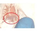 post-38299-1445164442_thumb.jpg