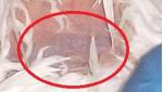 post-38299-1445164495_thumb.jpg