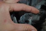 post-38573-1321180402_thumb.jpg