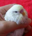 post-38778-1343667113_thumb.jpg